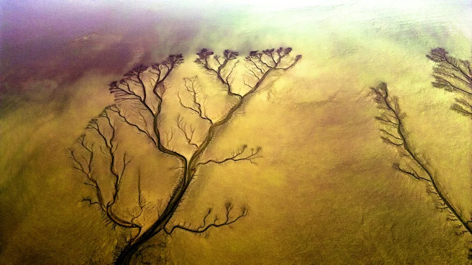 DJI_0276_copy.jpg?type=w966