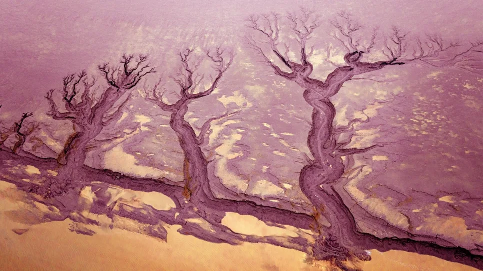 DJI_20250215080801_0230_D_copy.jpg?type=w966