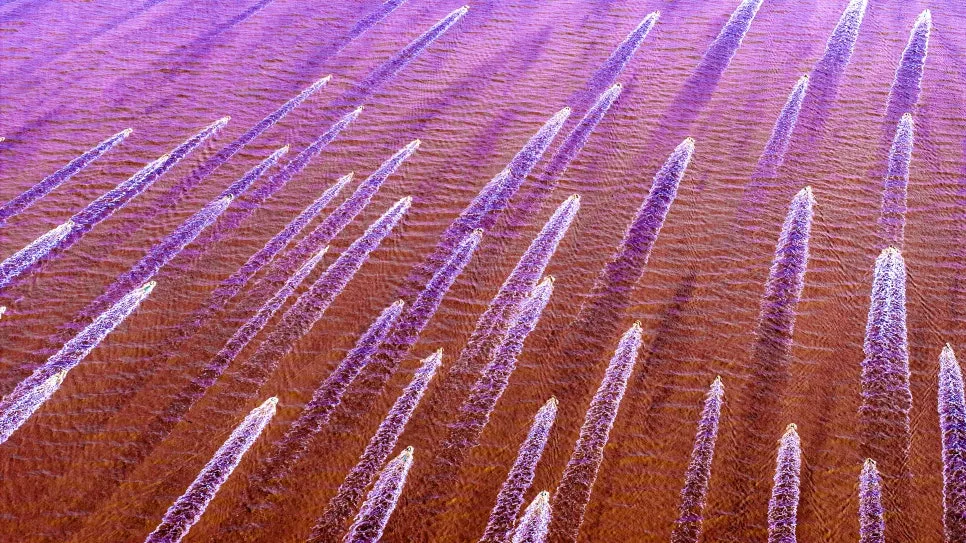 DJI_20250213120107_0277_D_copy.jpg?type=w966