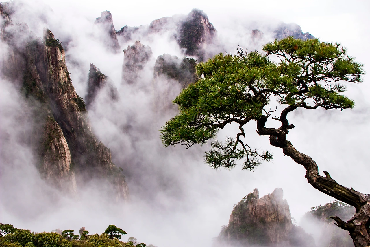 20160424 황산 388.JPG