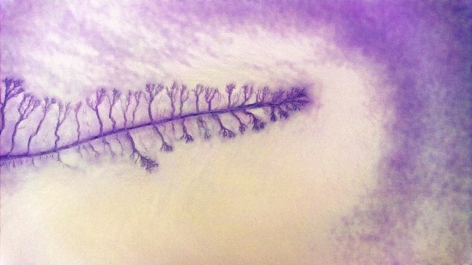 DJI_20250215075440_0140_D_copy.jpg?type=w966