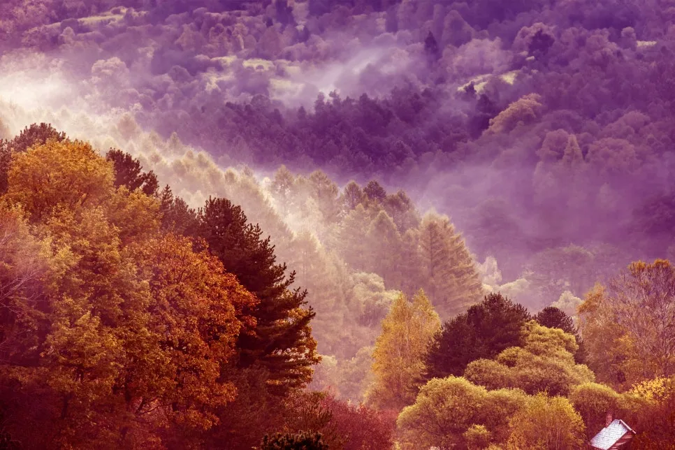 0U4A3108-1_copy.jpg?type=w966