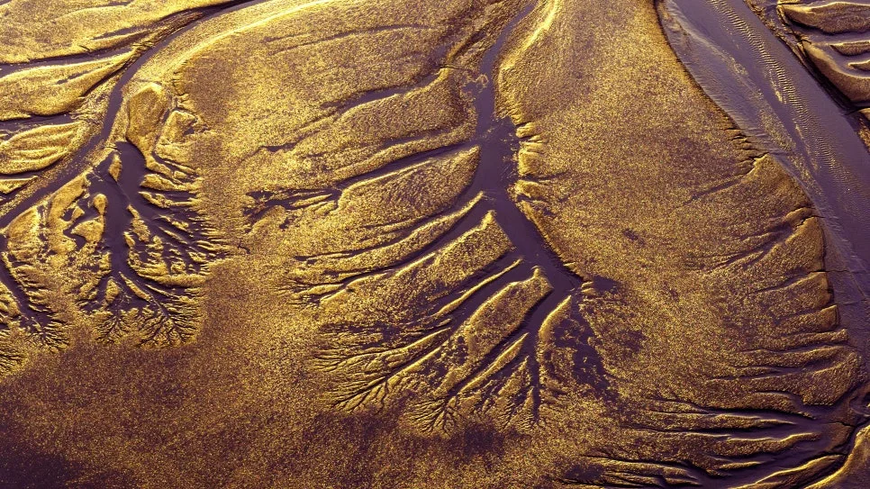 DJI_20250213180742_0680_D_copy.jpg?type=w966