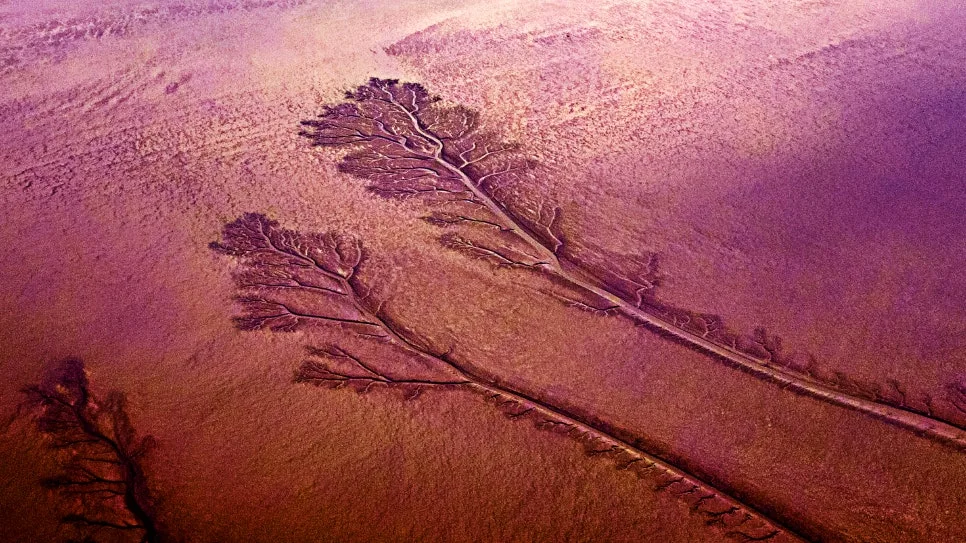 DJI_0312_copy.jpg?type=w966