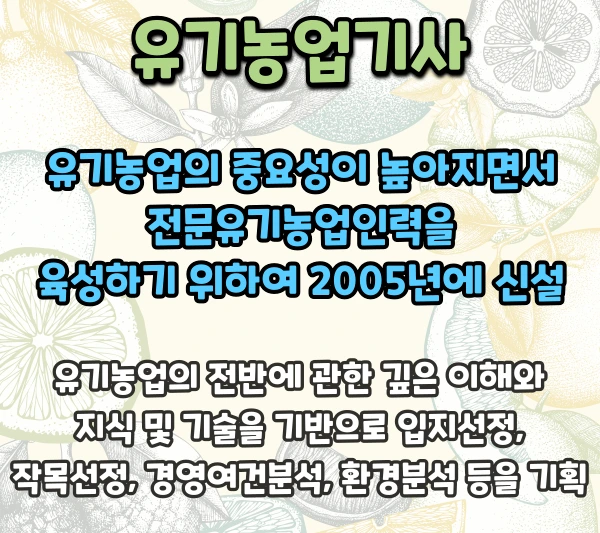 %EC%9D%B4%EB%AF%B8%EC%A7%80_2.png?type=w2