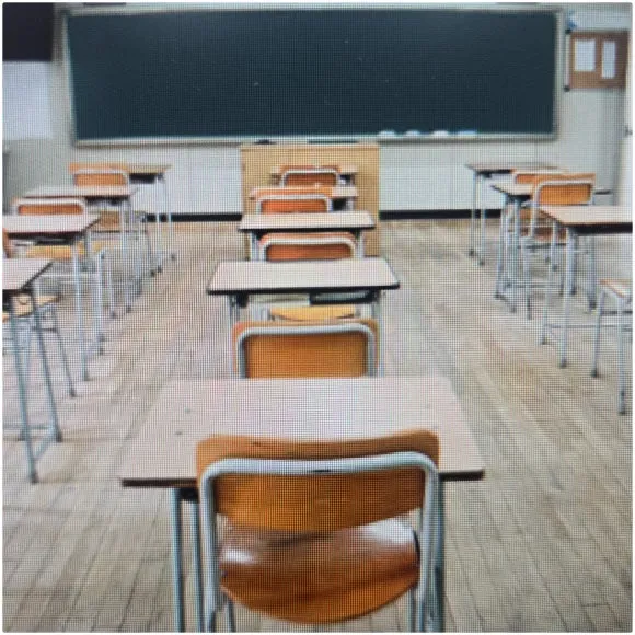 SE-743e9f2c-a9bd-44f2-a900-de1e589066a6.jpg?type=w580