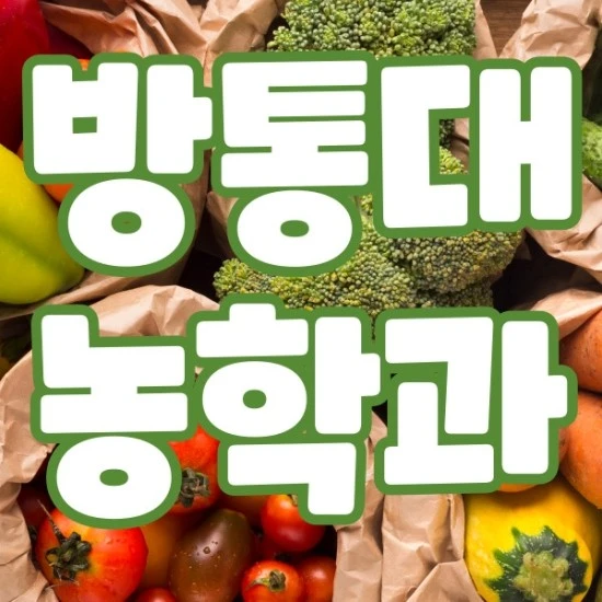 %EC%A0%9C%EB%AA%A9%EC%9D%84-%EC%9E%85%EB%A0%A5%ED%95%B4%EC%A3%BC%EC%84%B8%EC%9A%94.-001.jpg?type=w2