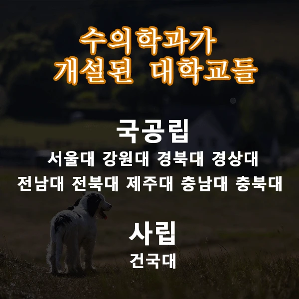 2%EC%88%98%EC%9D%98%EB%8C%80_%EA%B0%9C%EC%84%A4.png?type=w2