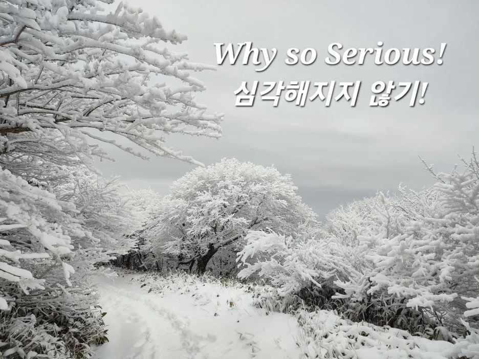 KakaoTalk_20251208_220437255_09.jpg?type=w1