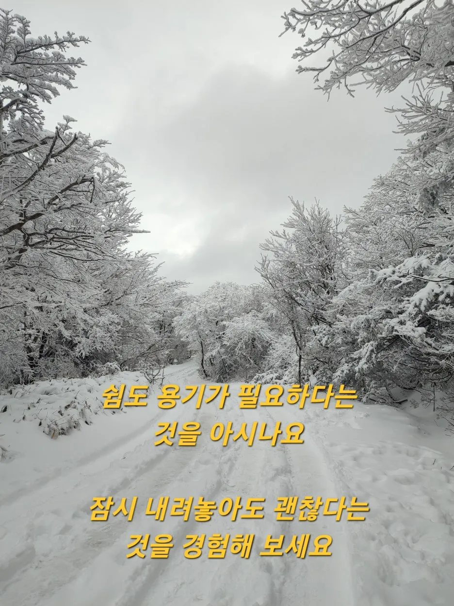 KakaoTalk_20251208_220437255_06.jpg?type=w1