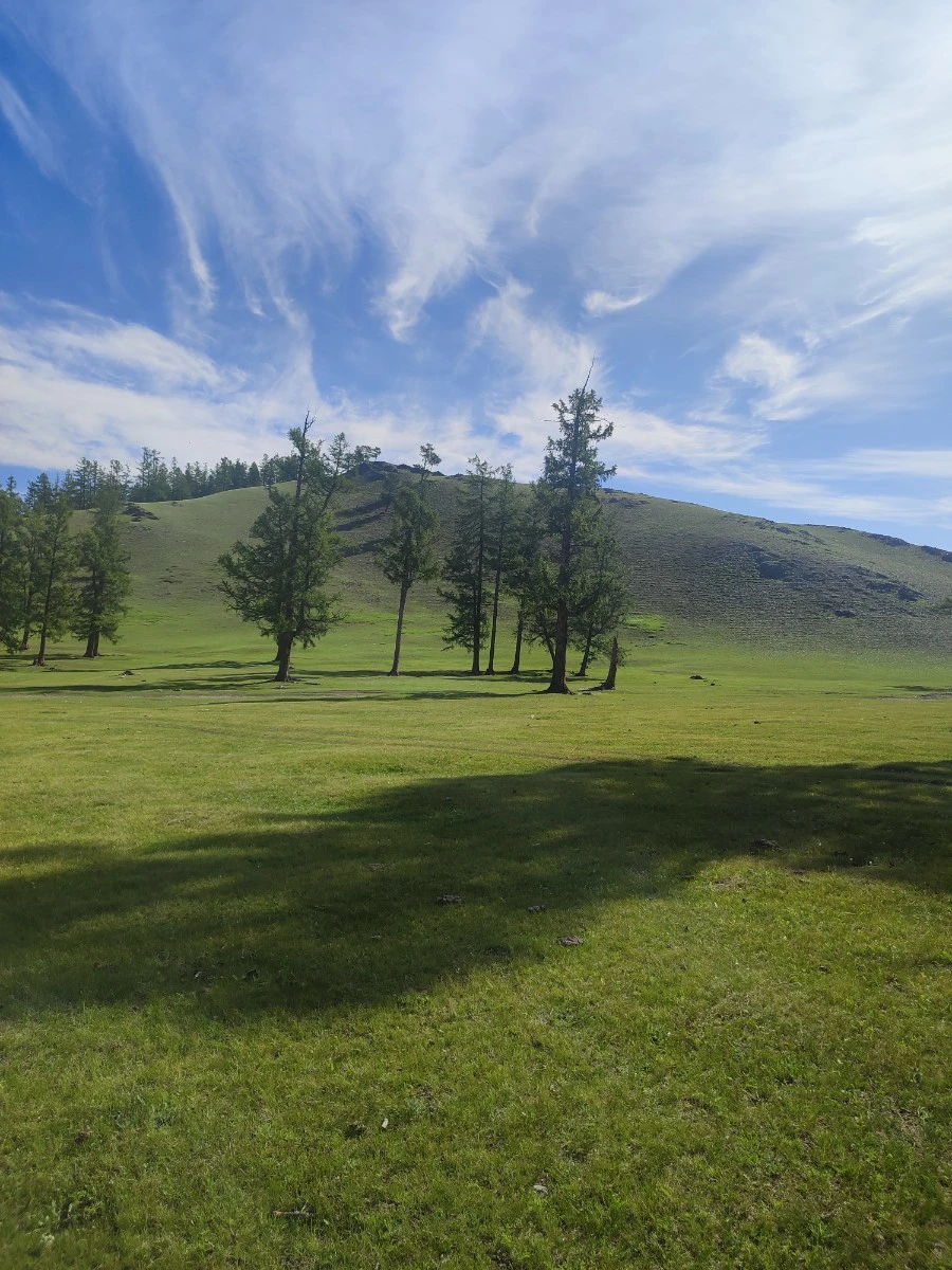 KakaoTalk_20250719_210328396_12.jpg?type=w966