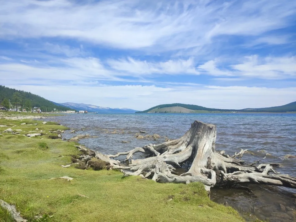 KakaoTalk_20250719_210249631_10.jpg?type=w966