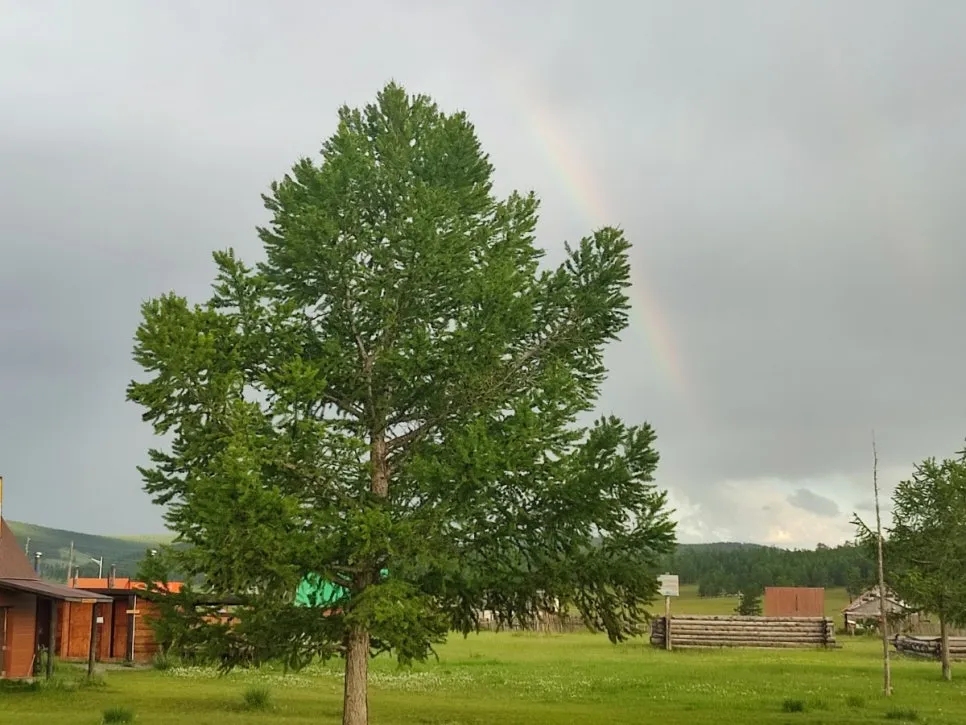 KakaoTalk_20250726_170648907_04.jpg?type=w966