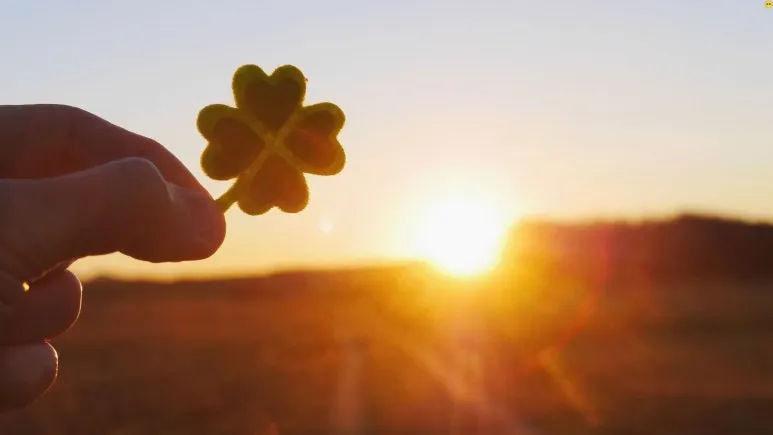 %EC%A0%9C%EB%AA%A9_%EC%97%86%EB%8A%94_%EB%94%94%EC%9E%90%EC%9D%B8_(3).jpg?type=w773