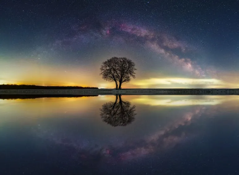 SE-44a53a4c-4e2b-468e-94d2-2de5a763d5df.jpg?type=w773