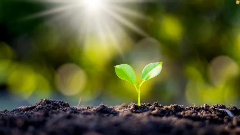 %EC%A0%9C%EB%AA%A9_%EC%97%86%EB%8A%94_%EB%94%94%EC%9E%90%EC%9D%B8_(5).jpg?type=w773