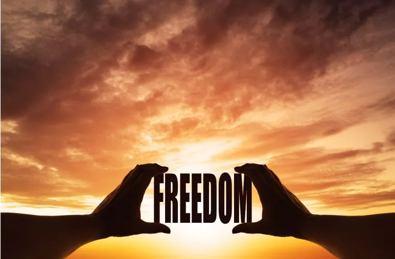 SE-4c750929-bd67-46e9-b0d9-7e8dfb0aa805.jpg?type=w773