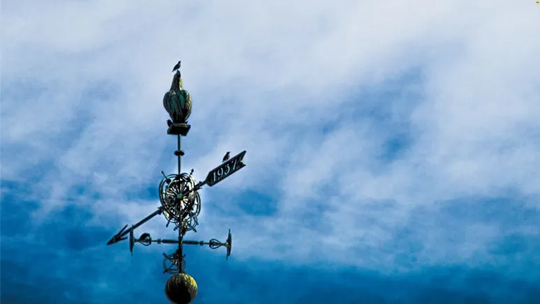 %EC%A0%9C%EB%AA%A9_%EC%97%86%EB%8A%94_%EB%94%94%EC%9E%90%EC%9D%B8_(12).jpg?type=w773