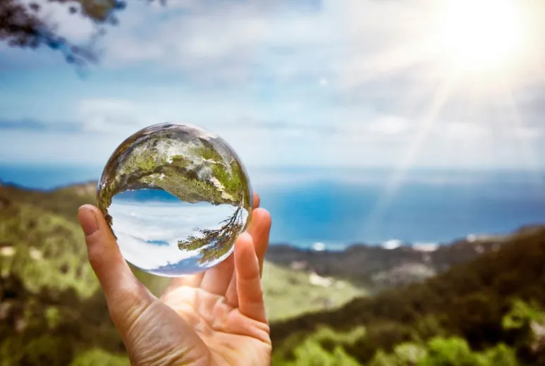 SE-6ea960b4-a331-4f1a-9e01-07a6fc9e28aa.jpg?type=w773