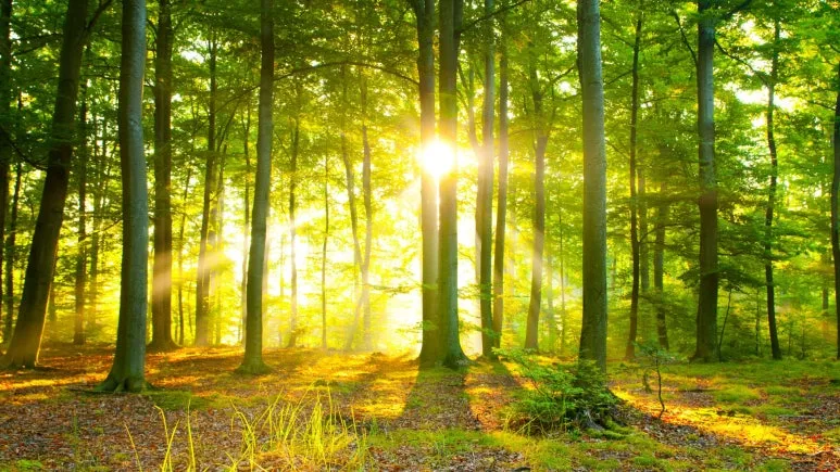 %EC%A0%9C%EB%AA%A9_%EC%97%86%EB%8A%94_%EB%94%94%EC%9E%90%EC%9D%B8_(2).jpg?type=w773