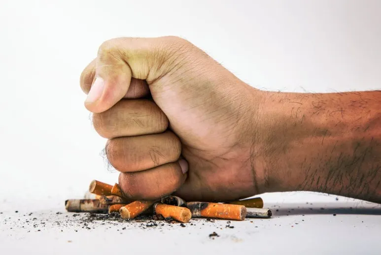 SE-65dc3ac0-4efb-4f77-aa08-eabbff6a3688.jpg?type=w773