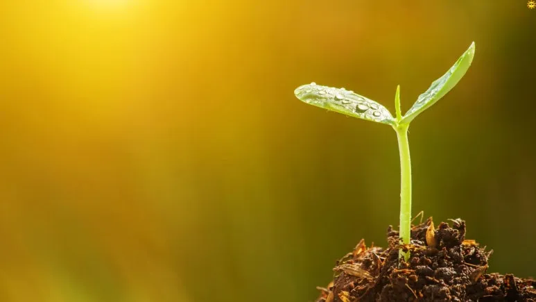 %EC%A0%9C%EB%AA%A9_%EC%97%86%EB%8A%94_%EB%94%94%EC%9E%90%EC%9D%B8_(4).jpg?type=w773