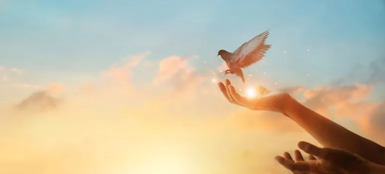 SE-f069097c-c3f0-40c6-b0e5-6a298c0fe2fb.jpg?type=w773