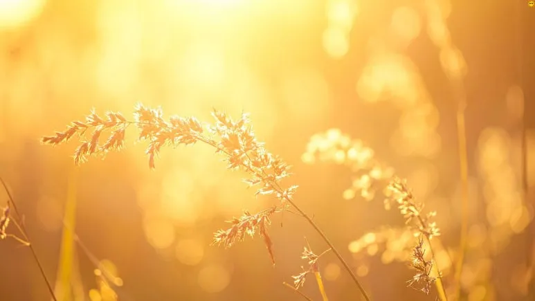 %EC%A0%9C%EB%AA%A9_%EC%97%86%EB%8A%94_%EB%94%94%EC%9E%90%EC%9D%B8_(1).jpg?type=w773