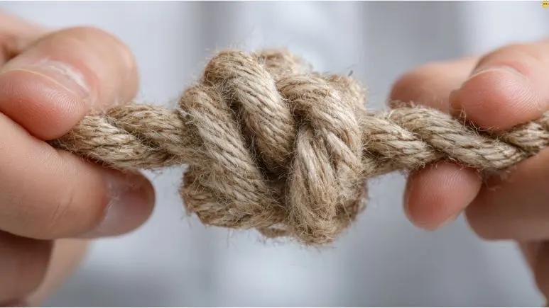 %EC%A0%9C%EB%AA%A9_%EC%97%86%EB%8A%94_%EB%94%94%EC%9E%90%EC%9D%B8_(22).jpg?type=w773