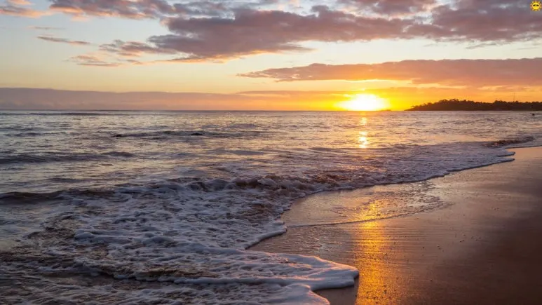 %EC%A0%9C%EB%AA%A9_%EC%97%86%EB%8A%94_%EB%94%94%EC%9E%90%EC%9D%B8.jpg?type=w773