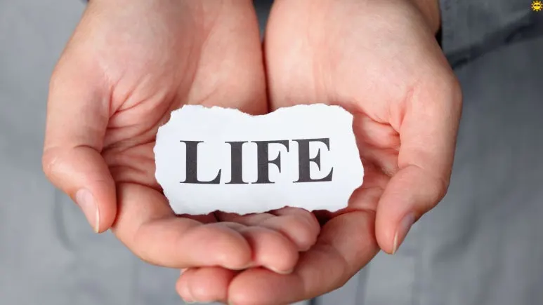 %EC%A0%9C%EB%AA%A9_%EC%97%86%EB%8A%94_%EB%94%94%EC%9E%90%EC%9D%B8_(1).jpg?type=w773