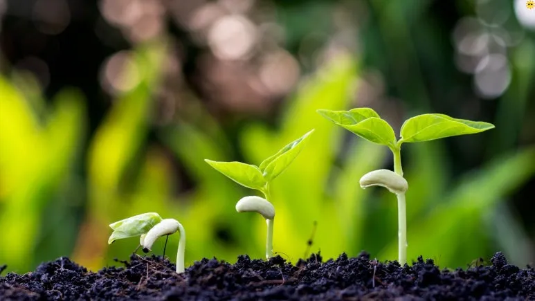 %EC%A0%9C%EB%AA%A9_%EC%97%86%EB%8A%94_%EB%94%94%EC%9E%90%EC%9D%B8_(20).jpg?type=w773