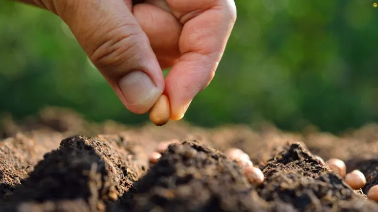 %EC%A0%9C%EB%AA%A9_%EC%97%86%EB%8A%94_%EB%94%94%EC%9E%90%EC%9D%B8.jpg?type=w773