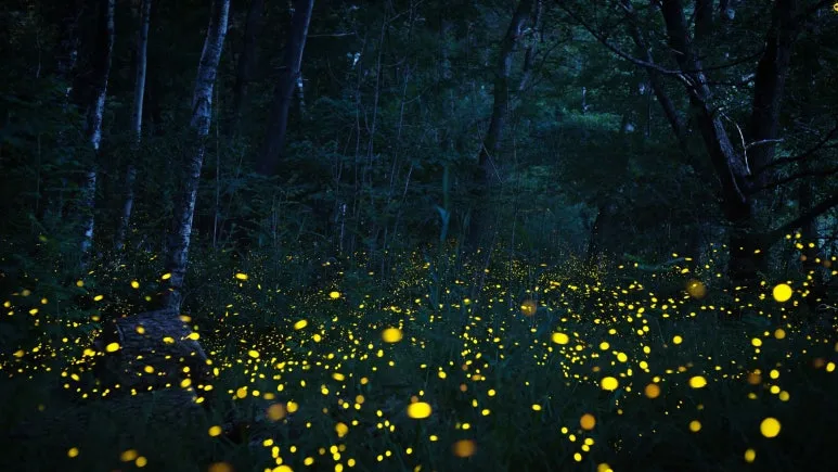 %EC%A0%9C%EB%AA%A9_%EC%97%86%EB%8A%94_%EB%94%94%EC%9E%90%EC%9D%B8_(2).jpg?type=w773