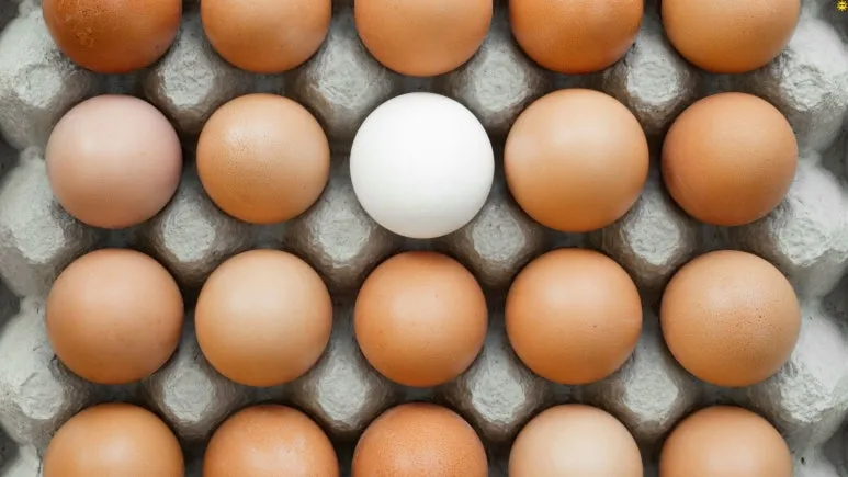 %EC%A0%9C%EB%AA%A9_%EC%97%86%EB%8A%94_%EB%94%94%EC%9E%90%EC%9D%B8_(3).jpg?type=w773