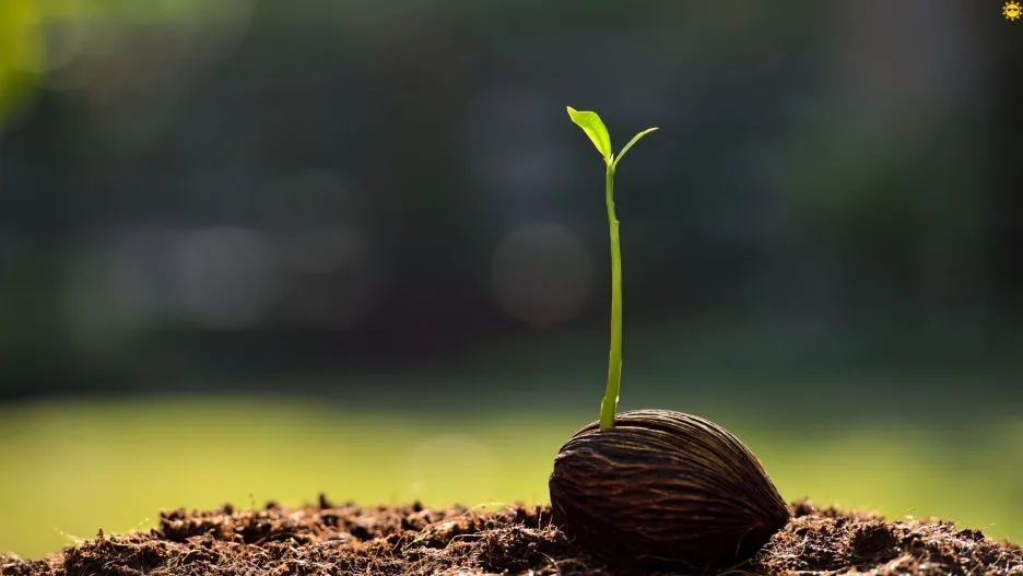 %EC%A0%9C%EB%AA%A9_%EC%97%86%EB%8A%94_%EB%94%94%EC%9E%90%EC%9D%B8_(3).jpg?type=w1