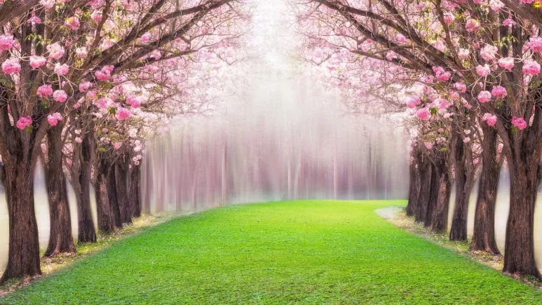 %EC%A0%9C%EB%AA%A9_%EC%97%86%EB%8A%94_%EB%94%94%EC%9E%90%EC%9D%B8_(4).jpg?type=w773