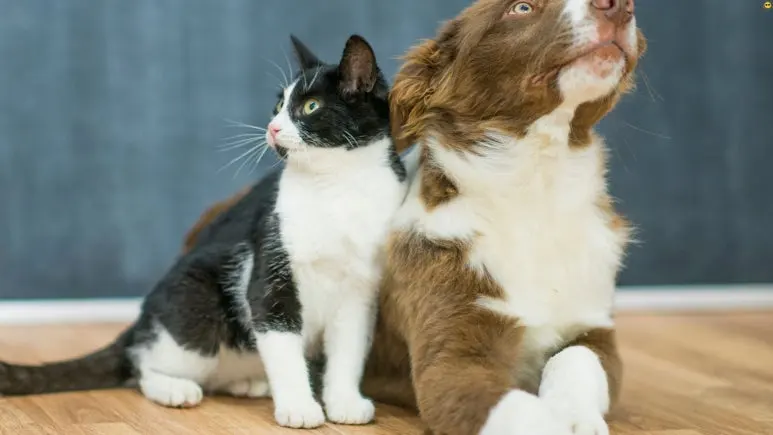 %EC%A0%9C%EB%AA%A9_%EC%97%86%EB%8A%94_%EB%94%94%EC%9E%90%EC%9D%B8_(2).jpg?type=w773