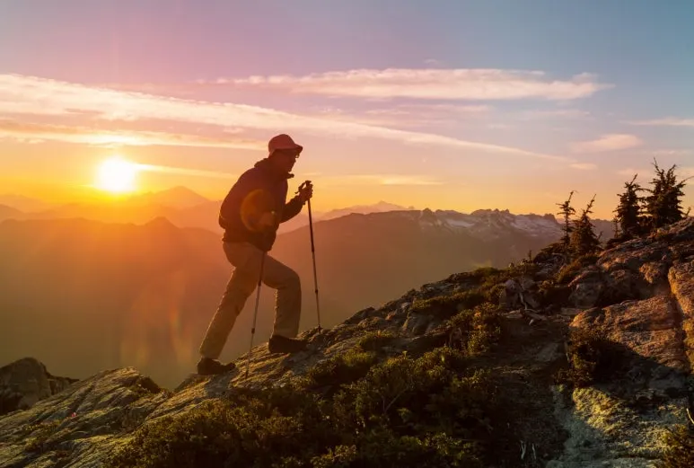 SE-742bec61-d568-45f9-bbad-2dd64197cb43.jpg?type=w773