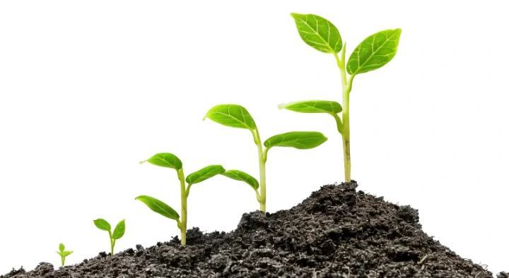 %EC%A0%9C%EB%AA%A9%EC%9D%84_%EC%9E%85%EB%A0%A5%ED%95%B4%EC%A3%BC%EC%84%B8%EC%9A%94_-001.png?type=w773