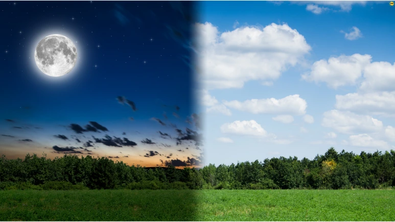 %EC%A0%9C%EB%AA%A9_%EC%97%86%EB%8A%94_%EB%94%94%EC%9E%90%EC%9D%B8.png?type=w773