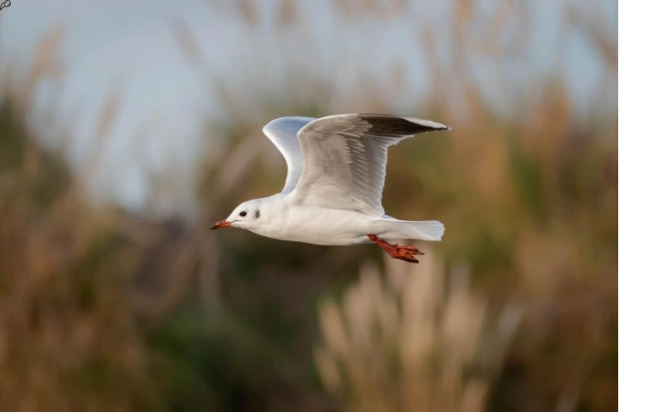 %EC%A0%9C%EB%AA%A9%EC%9D%84_%EC%9E%85%EB%A0%A5%ED%95%B4%EC%A3%BC%EC%84%B8%EC%9A%94_-006.png?type=w773