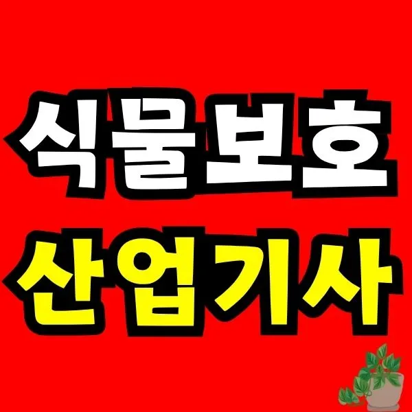 Green_and_Orange_Creative_Class_Schedule_-_2025-11-17T095936.727.jpg?type=w773