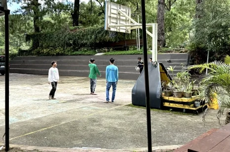 Basketball_court_(2).JPG?type=w466