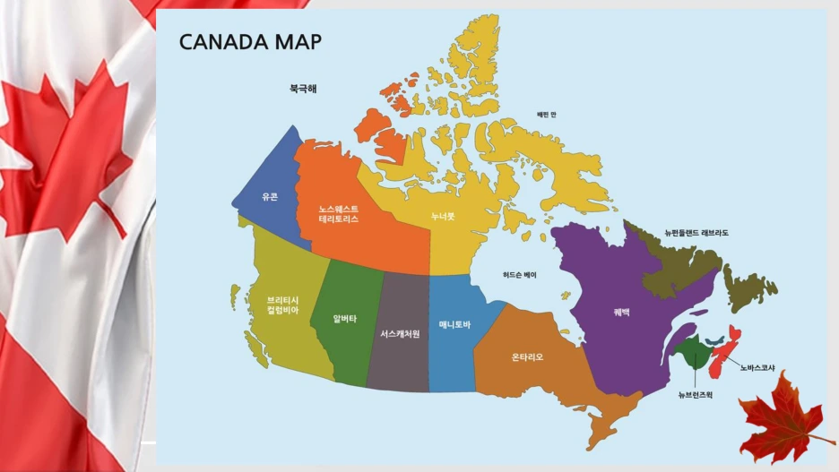 %EC%8A%AC%EB%9D%BC%EC%9D%B4%EB%93%9C4.PNG?type=w1