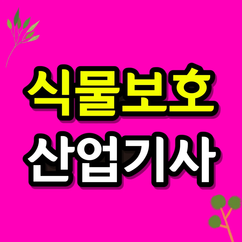 1145566666.png?type=w966