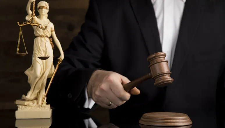 3541546.jpg?type=w773