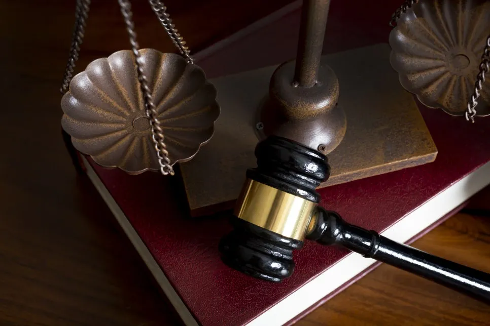 sgsdsdgd.jpg?type=w966