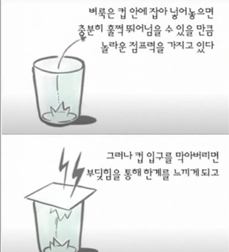 IMG_7706.jpg?type=w773