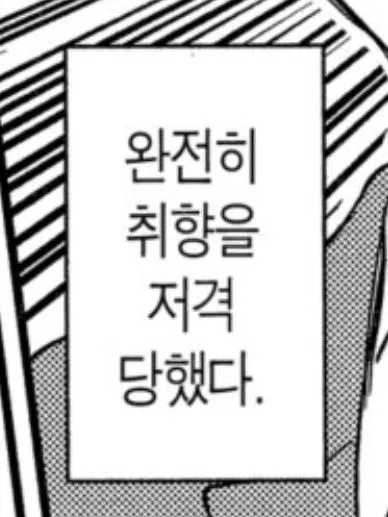 185fdd05-d091-4549-9c87-046597c2822b.jfif